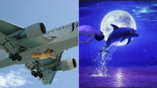 Illustration for article titled How a Naked Japanese Man Launched Endless Photoshops